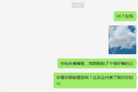 许昌为什么选择专业追讨公司来处理您的债务纠纷？